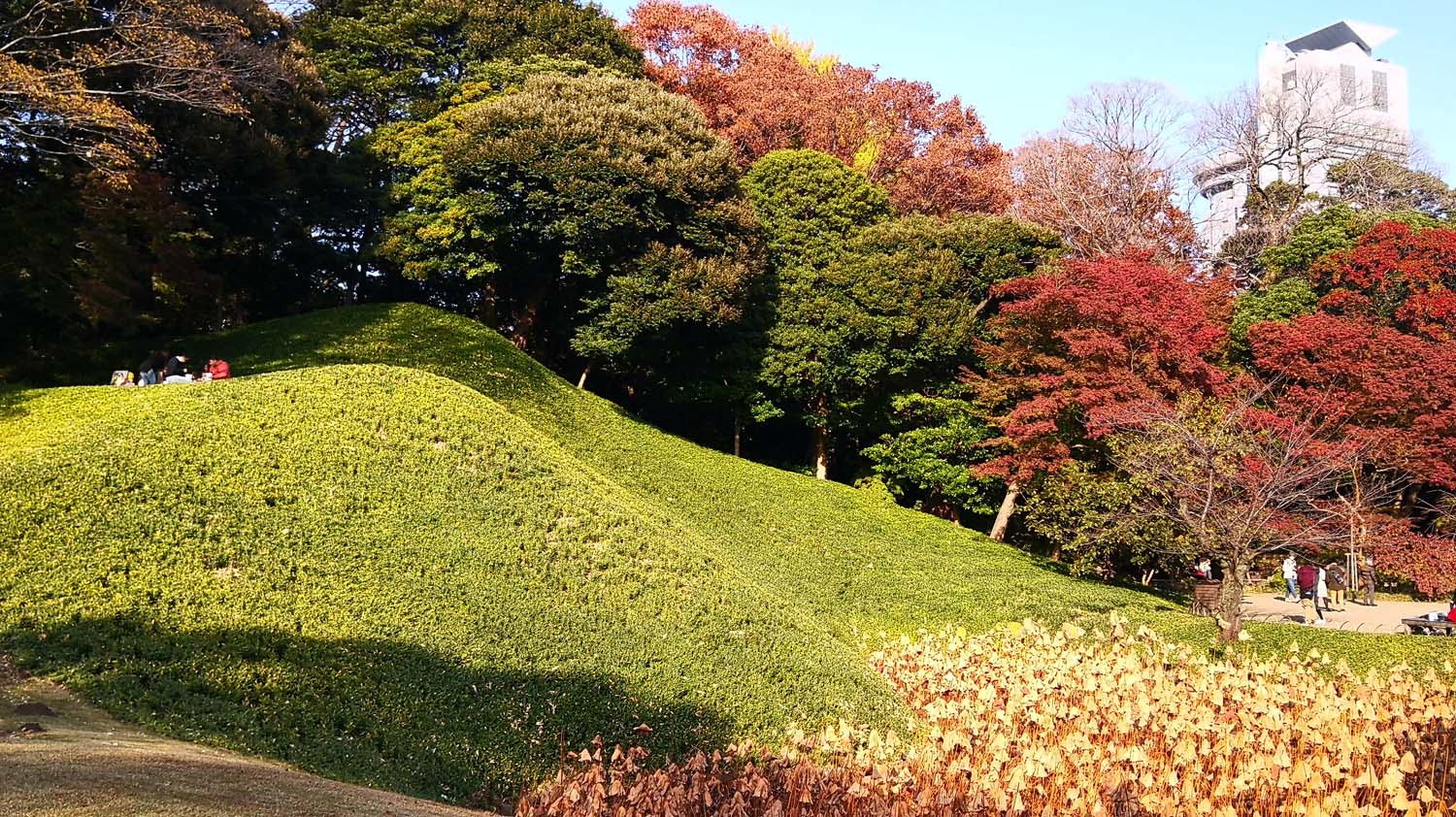 实景市政素材