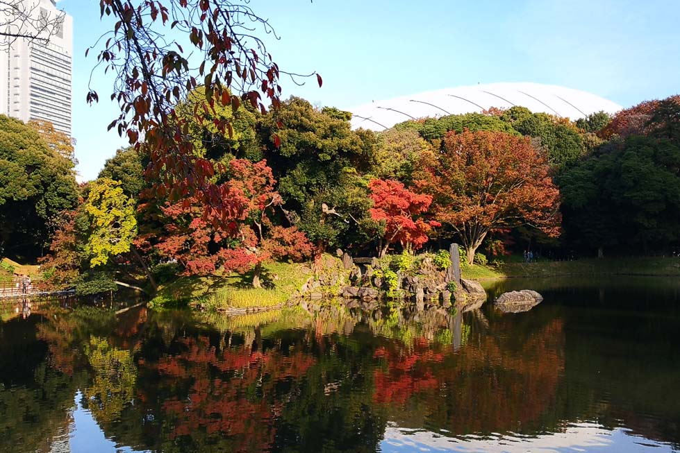 实景市政素材