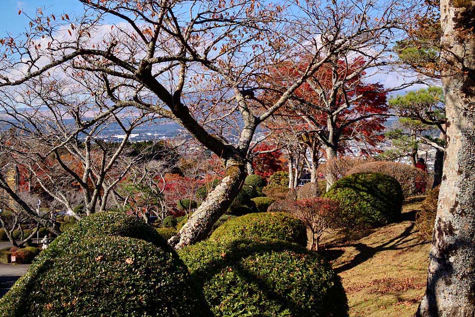 实景花园素材