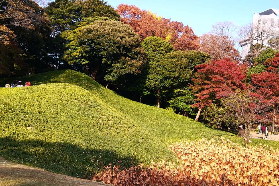 实景市政素材