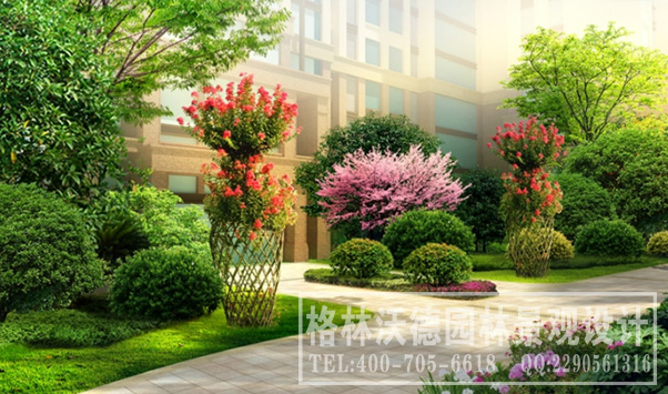 金龙绿城项目